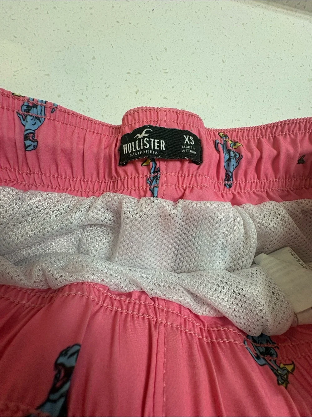 Hollister Pink Surfing Dinosaur Swim Trunks Size XS